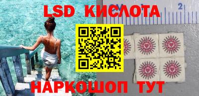ГАЛЛЮЦИНОГЕННЫЕ ГРИБЫ Заволжье