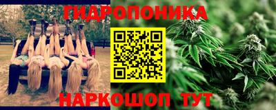 ГАЛЛЮЦИНОГЕННЫЕ ГРИБЫ Заволжье