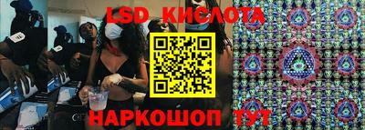 ГАЛЛЮЦИНОГЕННЫЕ ГРИБЫ Заволжье