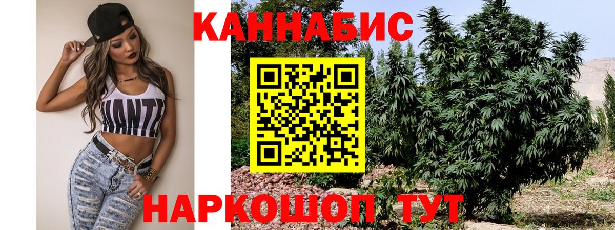 Конопля THC 21%  Канабис VHQ  МАРИХУАНА планчик  Каннабис Amnesia  Вход с VPN  Сосновоборск 